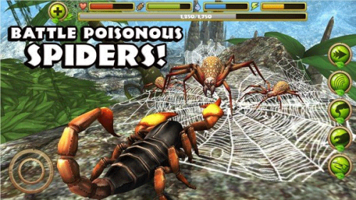 Ыģ3D İ棨Scorpion Simͼ