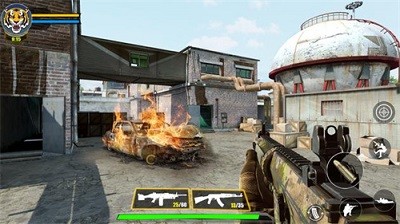 ؾɫжSwat Gun Game Black Opsͼ