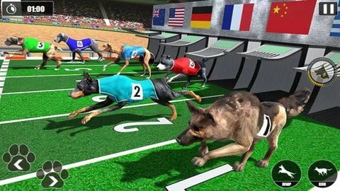  İ棨Dog Racing Championshipͼ