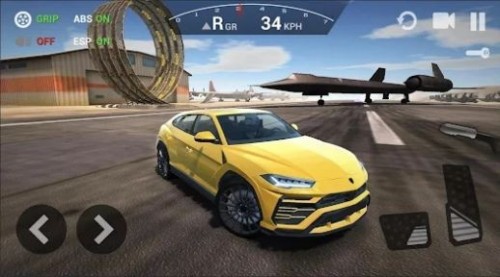 ռɳĮԽҰģ 2022°棨Ultimate Offroad Simulatorͼ