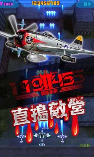 ը19451945 Air Forceͼ