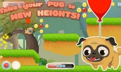 Pug Runͼ