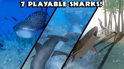 ģReal Shark SimulatorϷAPPؽͼ