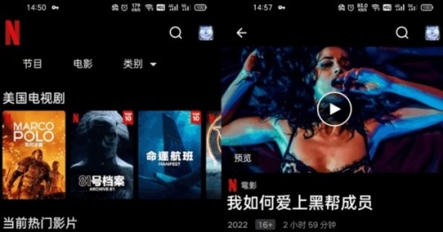 ηɣNetflixappذ׿ͼ