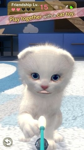 withMyCATϷAPPؽͼ