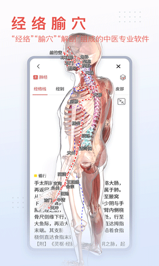 3Dbodyʰ׿appͼ