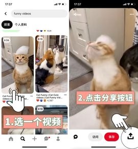 pinterestʰappؽͼ