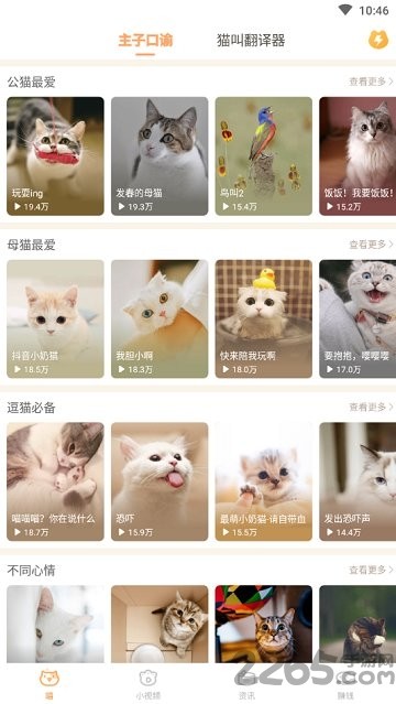 èappͼ