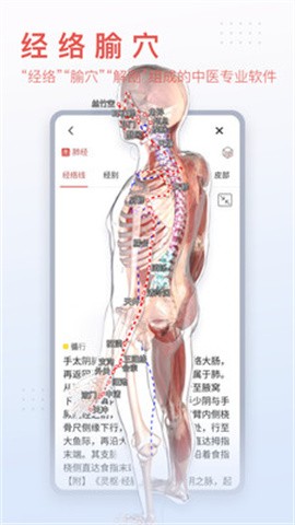 3Dbodyֻappͼ